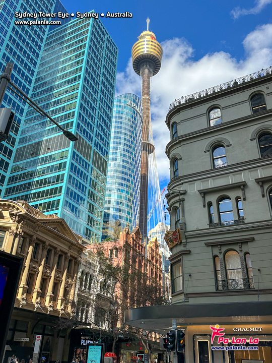 Sydney Tower Eye